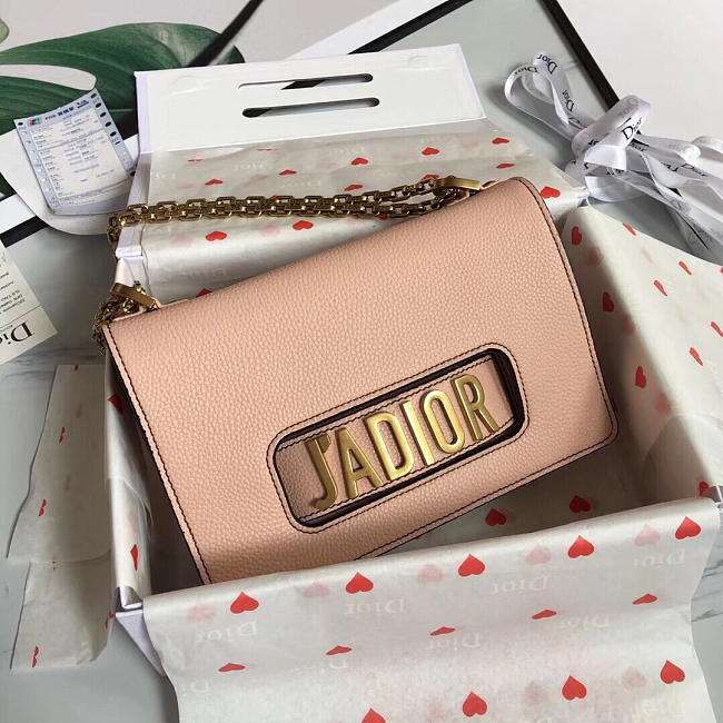 Dior Jadior Pink Leather handbag for Women - 1