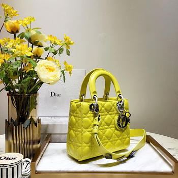 Dior Lady Dior Leather Yellow Handbag