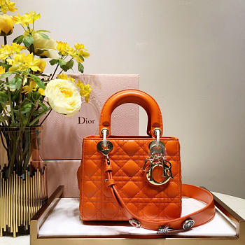 Dior Lady Dior Leather Orange Handbag