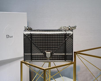 Dior Diorama Cannage Calfskin Bag in Sliver Gray