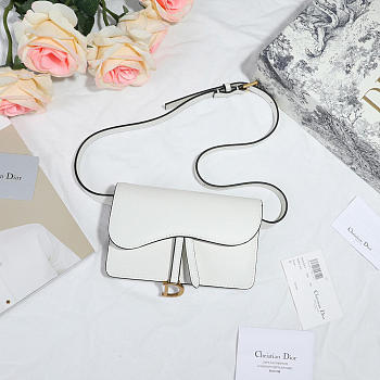 Dior Saddle Waistband Saddle white bag 17cm