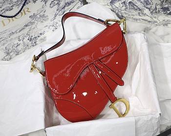 Dior Saddle bag 25cm 004