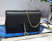 Dior Saddle Wallet on Chain Bag - 1