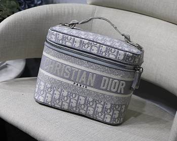 Dior Oblique Cosmetic Bag