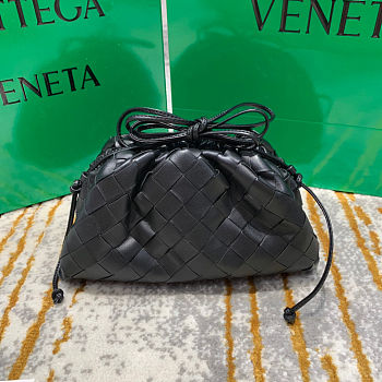 Bottega Veneta The Pouch Bag