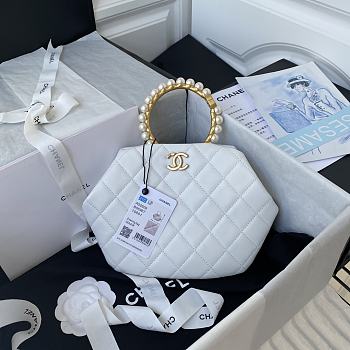 Chanel Evening Bag AS2609