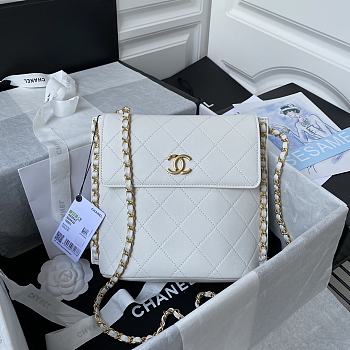 Chanel Calfskin Large Hobo Bag AS2543 002