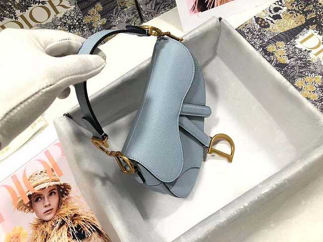 Dior Saddle Bag 20cm 001 - 1