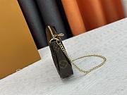 Louis Vuitton Ropeway Mini Pochette Accessoires 15.5cm - 4