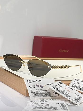 Cartier Sunglasses 001