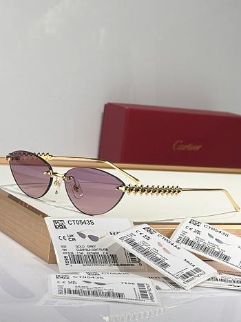 Cartier Sunglasses 002