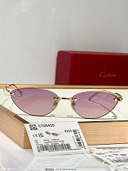 Cartier Sunglasses 002 - 5