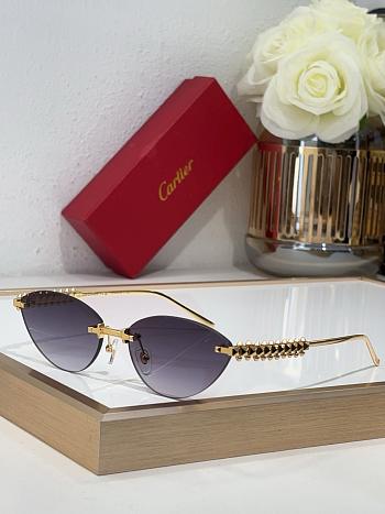 Cartier Sunglasses 004