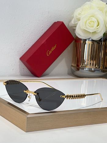 Cartier Sunglasses 005