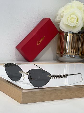 Cartier Sunglasses 008