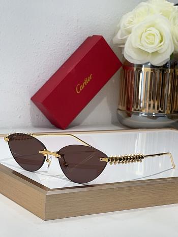 Cartier Sunglasses 009