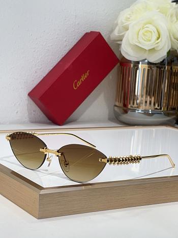 Cartier Sunglasses 010