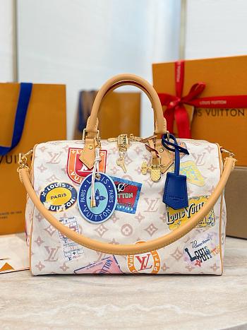 Louis Vuitton M14587 Speedy Soft 30 - 30x21x17cm