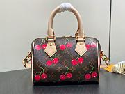 LV x TM M13094 Speedy Bandoulière 20 Monogram cherry - 20.5cm - 5