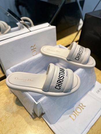 Dior Slippers 008