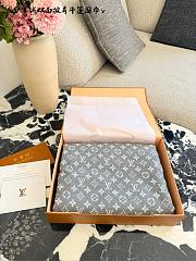 Louis Vuitton Scarf 024 - 6