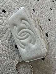 Chanel Vanity Case 17cm 05 - 5
