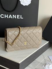 Chanel Charm On Chain Wallet On Chain 19x3x13cm - 3