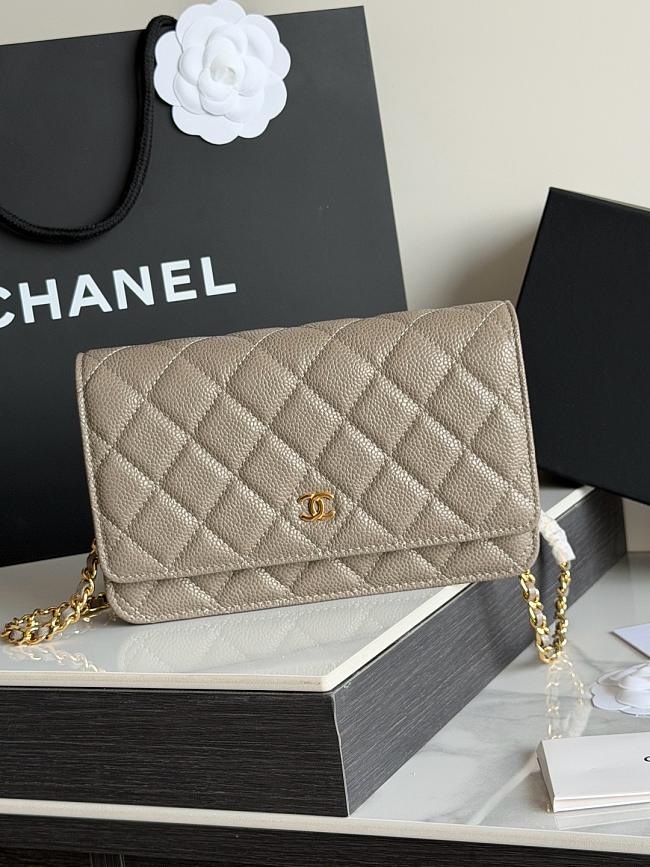 Chanel Charm On Chain Wallet On Chain 19x3x13cm - 1