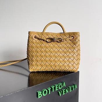 BOTTEGA VENETA  Andiamo Small Intrecciato leather tote bag 25x22x10.5cm