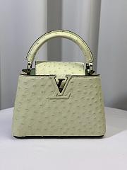 Louis Vuitton Ostrich Capucines Mini Vert Celadon 21cm - 1
