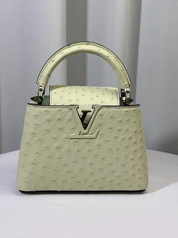 Louis Vuitton Ostrich Capucines Mini Vert Celadon 21cm