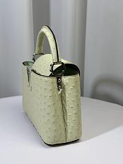 Louis Vuitton Ostrich Capucines Mini Vert Celadon 21cm - 4