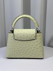 Louis Vuitton Ostrich Capucines Mini Vert Celadon 21cm - 3