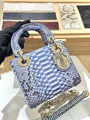 Lady Dior D Joy Exotic 17cm - 1