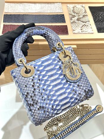 Lady Dior D Joy Exotic 17cm