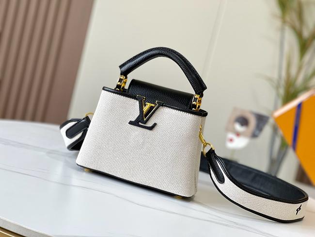 Louis Vuitton Canvas Taurillon Capucines MM Black Small 21x14x8cm - 1