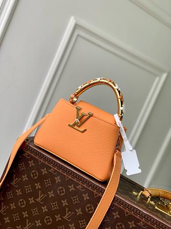Louis Vuitton Capucines Mini 21x3.6x8cm