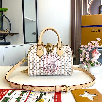 Louis Vuitton Speedy Bandoulière 20 20.5x13.5x12